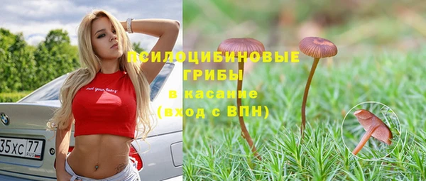 ALPHA PVP Беломорск