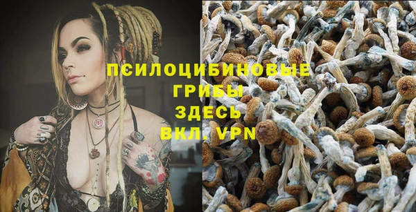 ALPHA PVP Беломорск
