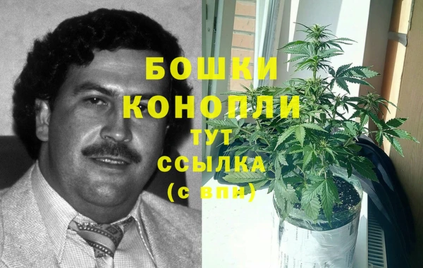 ALPHA PVP Беломорск