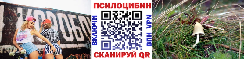 Псилоцибиновые грибы Cubensis МЕГА онион Миньяр